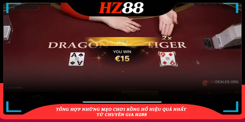 Tổng hợp những mẹo chơi Rồng Hổ hiệu quả nhất từ chuyên gia HZ88